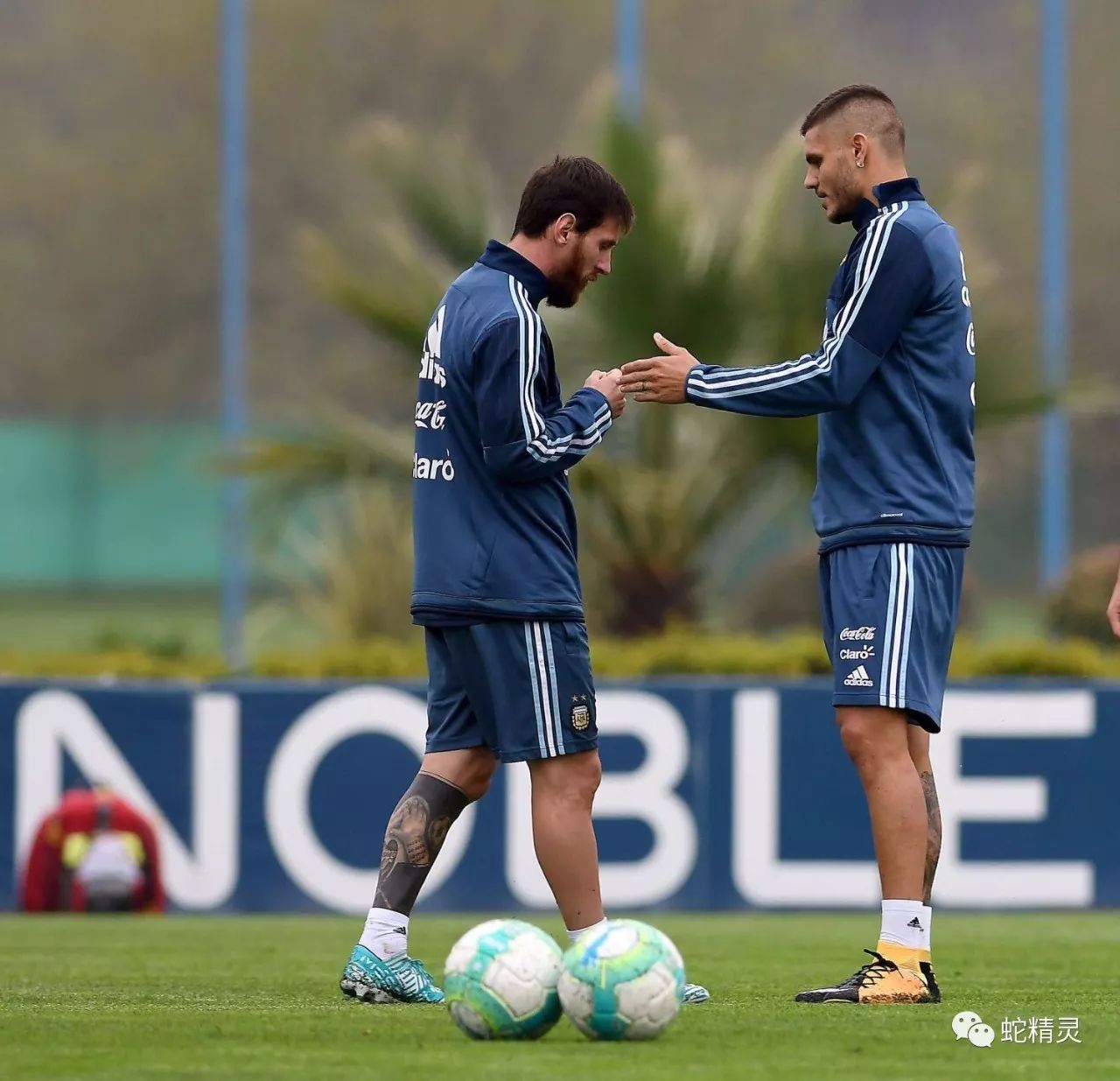 尼斯训练开放日，今夜复出首秀引欢呼，意大利杯在即，赛程密集仍需轮换的简单介绍